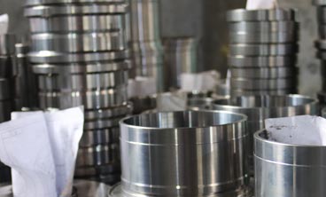 林甸機械密封的損壞與預防