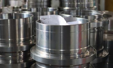 林甸雙端面機(jī)械密封失效分析的原因